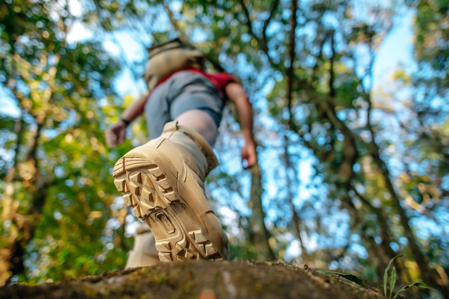 camino de santiago vacaciones con niños